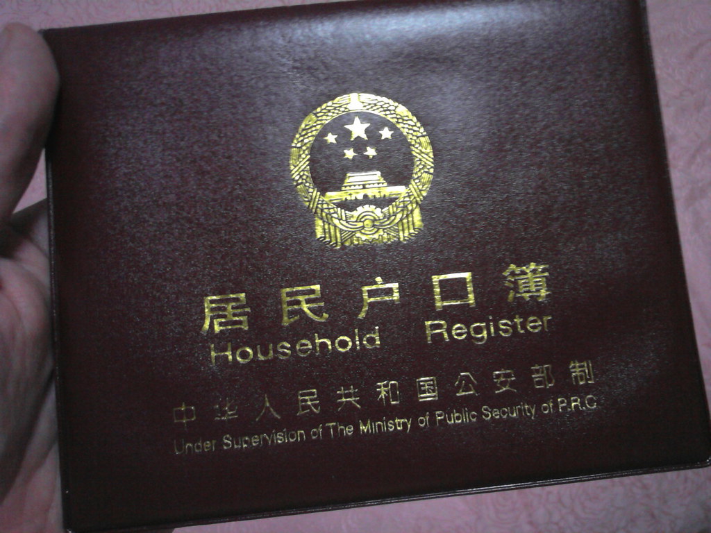 Understanding Chinese to English NAATI Translation Requirements
